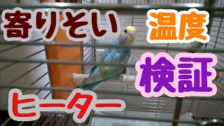 【ほっととり暖 寄りそいヒーター】寒い部屋、これだけでは足りません。鳥カゴに温度計を設置しましょうね!