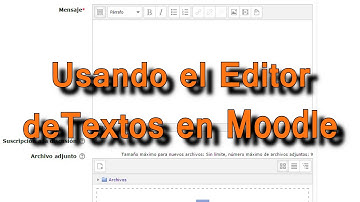 Uso del Editor de Textos en Moodle