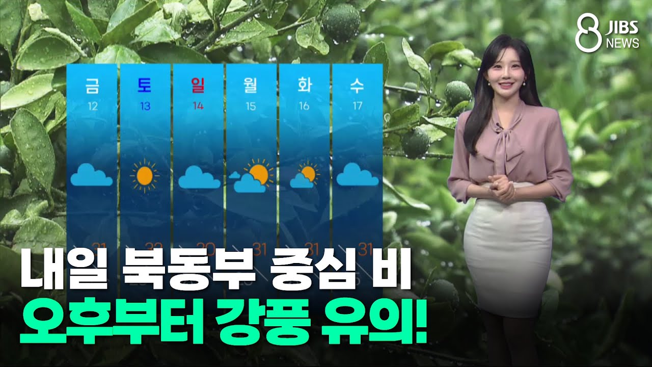 [제주날씨] 내일 북동부 중심 비, 오후부터 강풍 유의! /JIBS/제주/2025.09.10