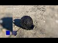 Tar balls found on Jersey Shore beaches