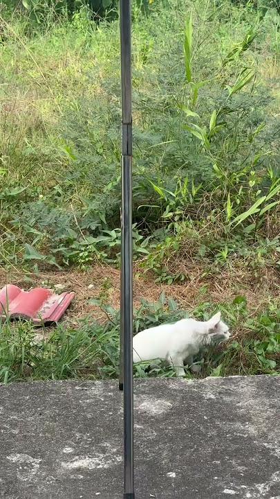 Sesekali lepas keluar, seronok menikmati alam..sebelah bertutup tu kubur adiknya 😢