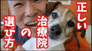 決定版‼️正しい治療院の選び方