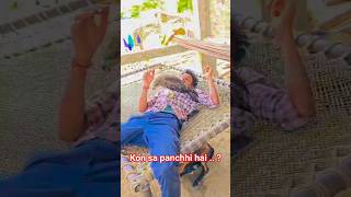 tu kaun Hai Tera naam Kya? #eagles #viral #trending #dance #shorts