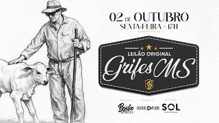 LOTE 49