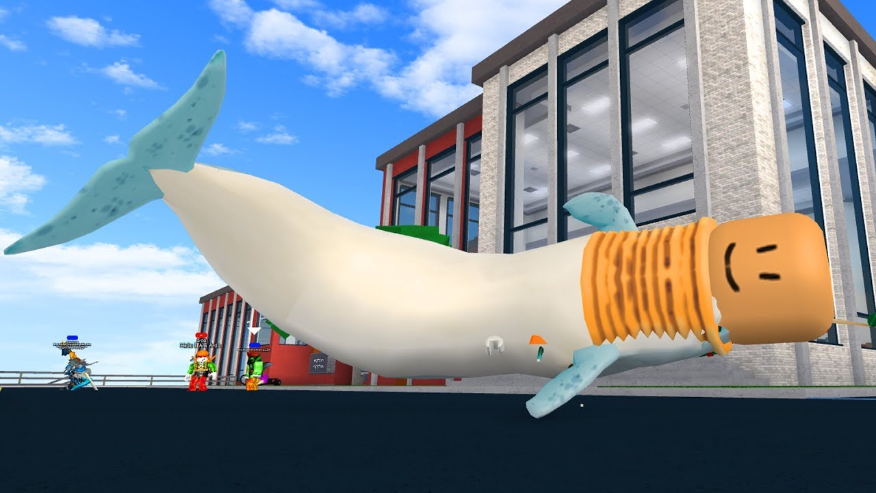 Funny Bumper Stickers Calixo Roblox Adventures How To Be The Whaleman Flamingo In Robloxian Highschool - how to be steve from minecraft in robloxian highschool