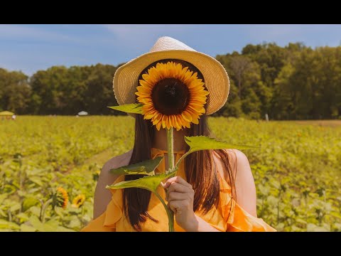 My Girl - The Temptations - Paige Lorentzen - Ashley Payne - w/lyrics