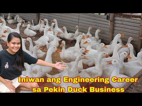 Engineer Umangat sa Buhay ng mag Fulltime sa Pag- aalaga ng Pekin Duck