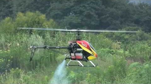 T-REX 600 NSP First Flight