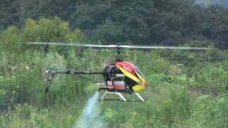 T-REX 600 NSP First Flight