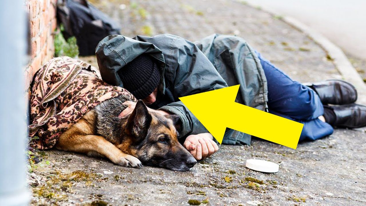 Homeless Teen Reunites With Beloved Dog At Shelter After They Find A