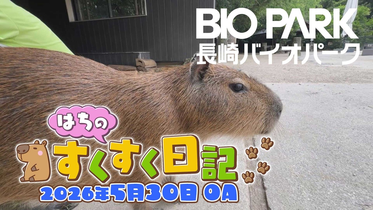 カピバラページ Capybara 
