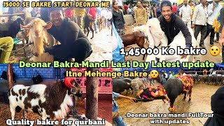 Deonar Bakra Mandi 2023 Latest Update Last Day | Eid ul Adha 2023 | Bakra Mandi 2023 |