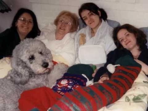 Kirby - Our Standard Poodle:(