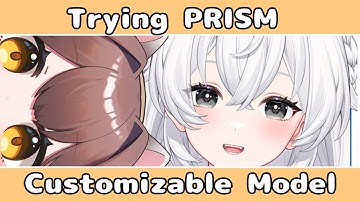 First time trying out customizable model - PRISM Customizable model