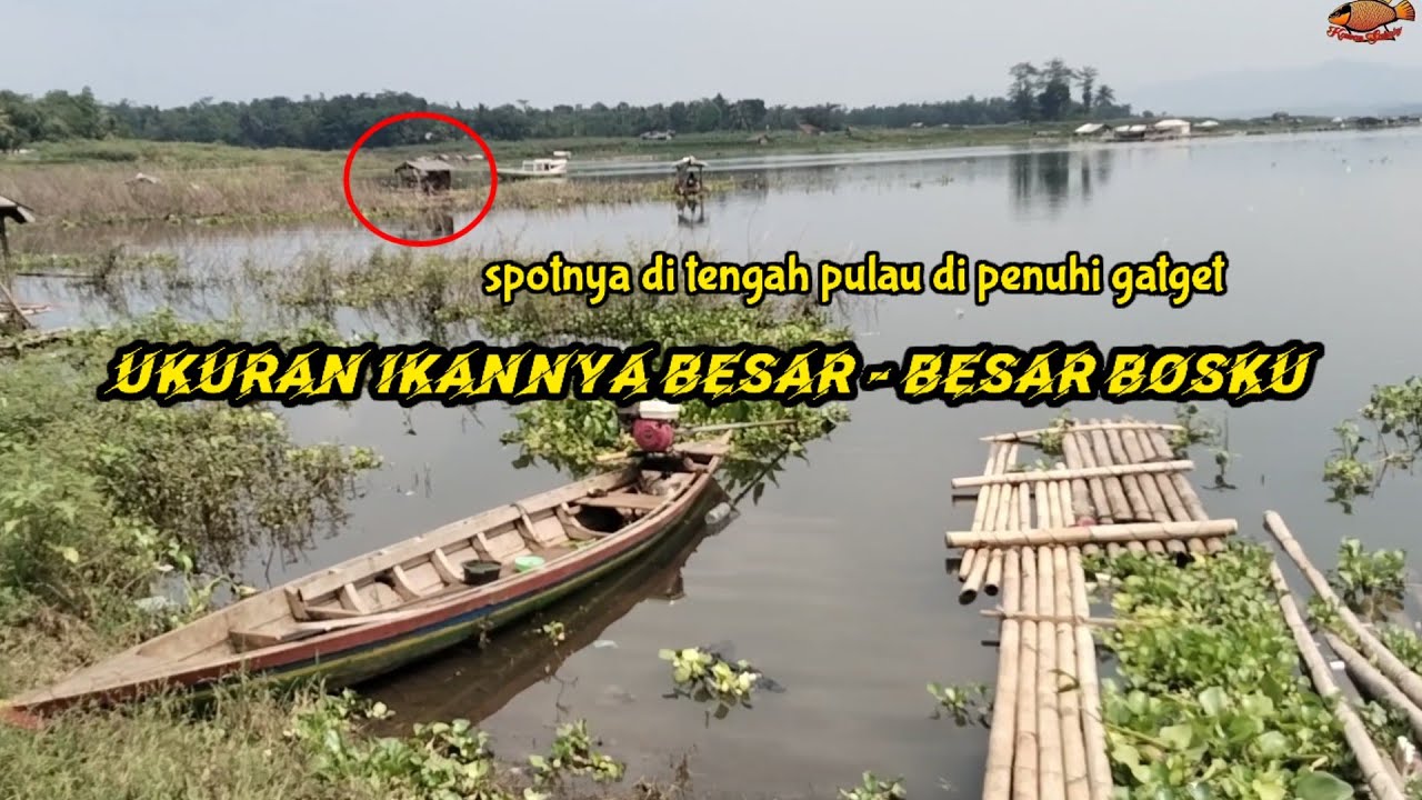 Mancing tepat disarang ikan, ukurannya besar-besar bosku II mancing Cirata terbaru 2025