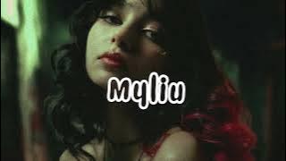 Tavo Muzika - Myliu (Naujiena 2025)