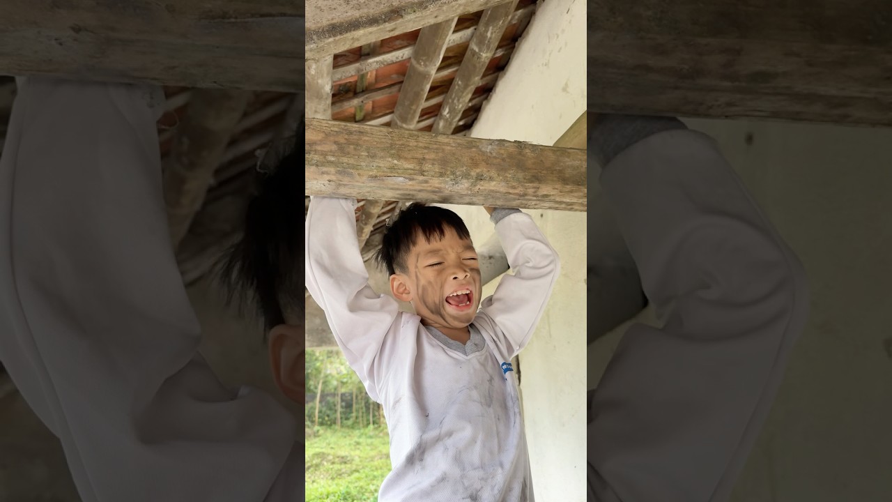 Hero Dog Saves a Baby Trapped on a Dangerous Rooftop – A Heartwarming Pet Story 