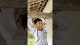 Hero Dog Saves A Baby Trapped On A Dangerous Rooftop A Heartwarming Pet Story