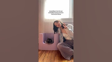 Everything I use for my cats’ litter boxes #cats #kitten #catlitter #litterbox #catfinds #cattips