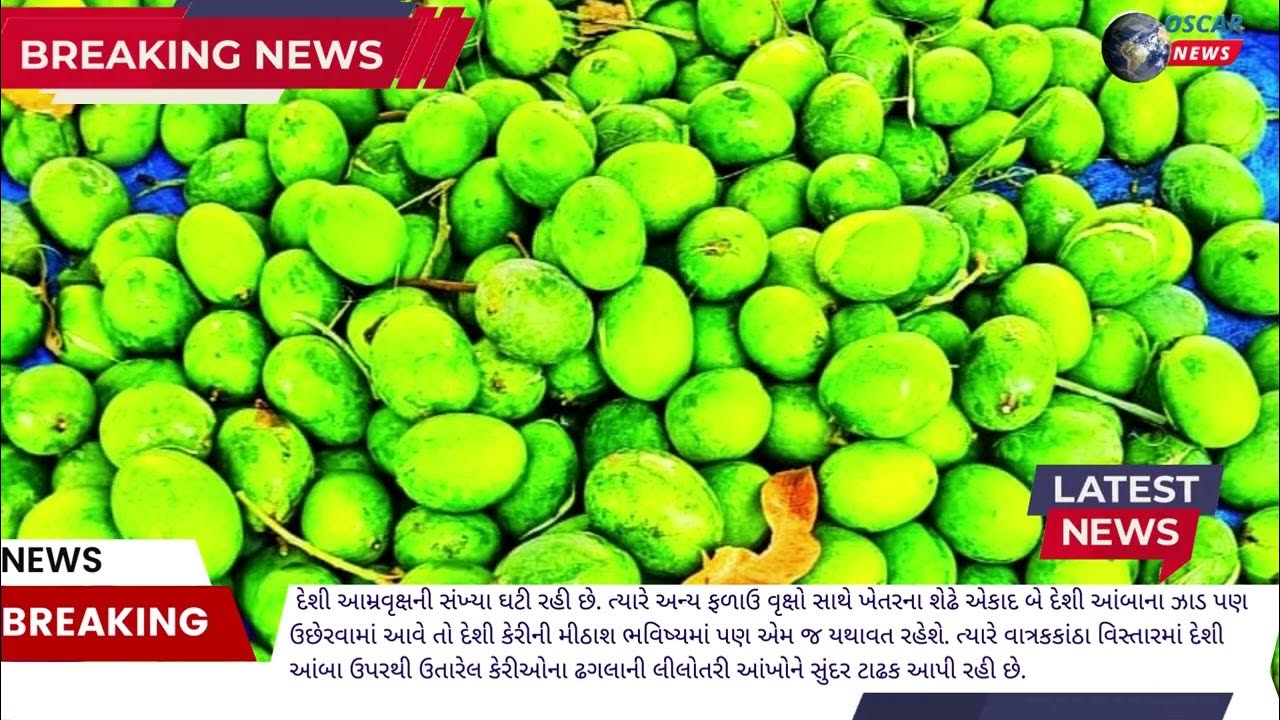 Har_pal_gujarati_news_oni YouTube