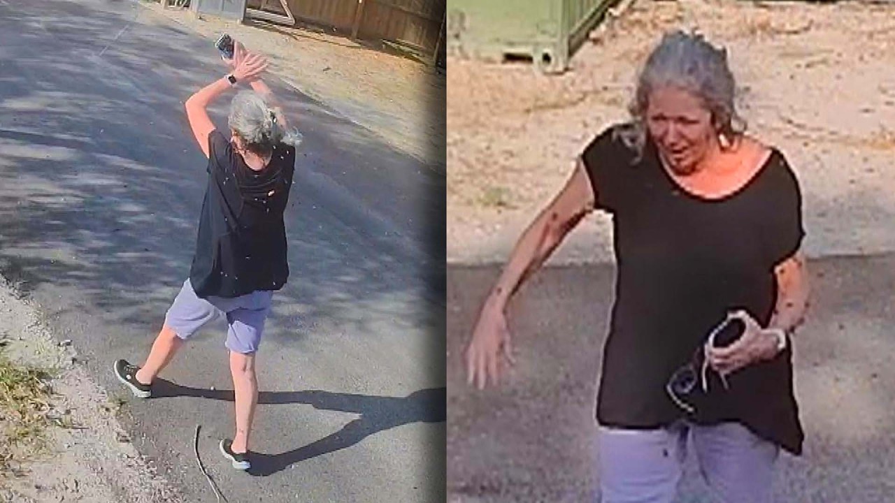 Woman Stung Hundreds Of Times By Bees At Storage Facility