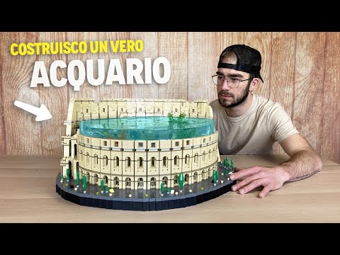 Video: Perché usare un gorgogliatore in un acquario?