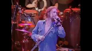 Download Lagu The Black Crowes - Seeing Things - 9/3/1995 - Shoreline Amphitheatre (Official) MP3