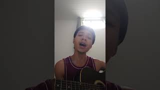 O louco sempre tem razão (cover)