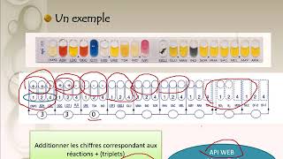 Interprétation de la galerie API 20E