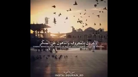 التائبون العابدون الحامدون السائحون سوره التوبه