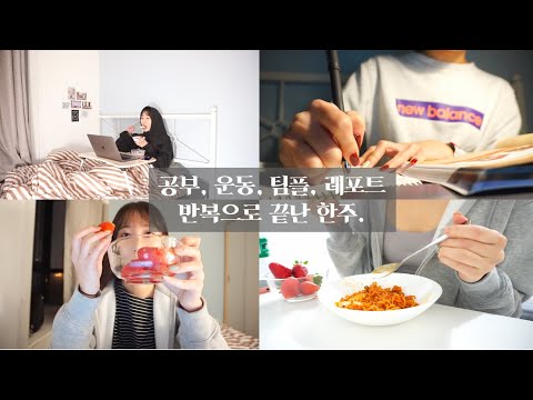 VLOG | 공부하고 📝먹고🍔 팀플하고 운동하고 <strong>레포트</strong> 쓰고 발표하고. 이번주만 끝나라 염불외다가 끝난 한주. feat. 감기로 고생중. 과일 폭탄. 카메라 새 렌즈 구입 !