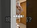 🍖 焼肉最高！今から行くけど、ついてくる勇者いる？🔥 #cat #子ネコ #猫動画 #猫のいる暮らし #cute #猫好きさんと繋がりたい #猫のいる暮らし #猫のいる生活
