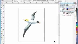 CorelDRAW X5 для начинающих. Оптимизация изображения (9.10) screenshot 2