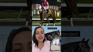 Hermanos completos: Enforce vs Accelerated. Allowance en Albuquerque 🏇🫢 #quarterhorse #caballos