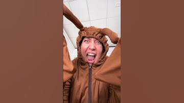 Bread Attracts Cockroaches! 🤯🪳😵