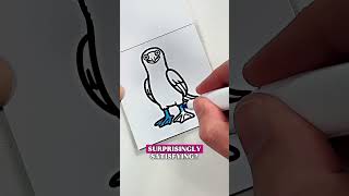 Surprisingly Satisfying Print Fold Finish a Free Mini Coloring Book in One Sitting