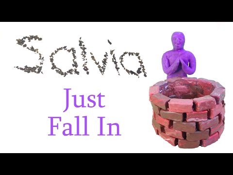 La Salvia sans Salvia : simuler l'expérience psychédélique