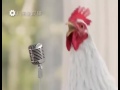 ديسكو جاجي