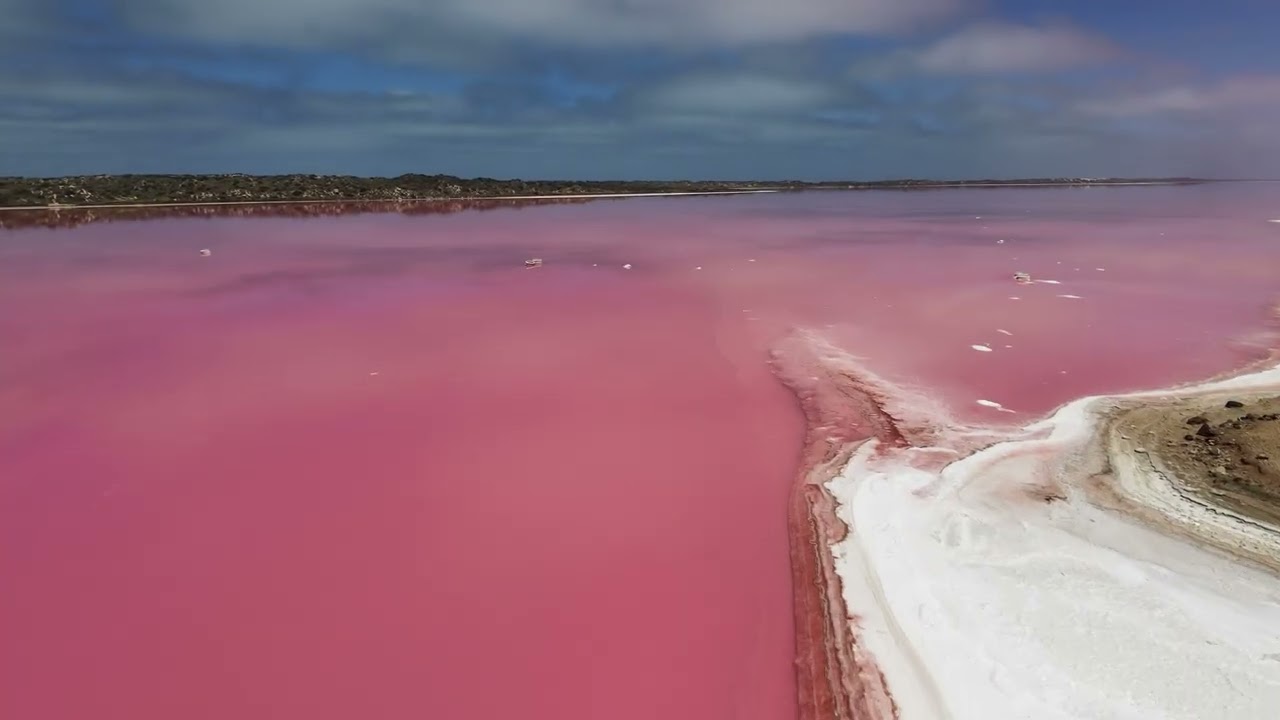Hutt Lagoon/Pink Lake - Port Gregory WA Jan 2026