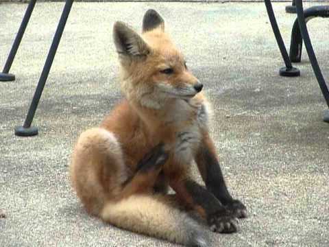 My Name Is Itchy
