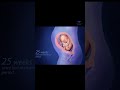 fetus development / 40 weeks of pregnancy || #medical