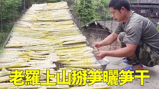 There are more and more golden bamboo shoots on the mountain. I can't finish them when I pull them