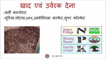 फसल उत्पादन एवं प्रबंध Crop Production and Management   कक्षा 8 विज्ञान Class 8 Science   Hindi