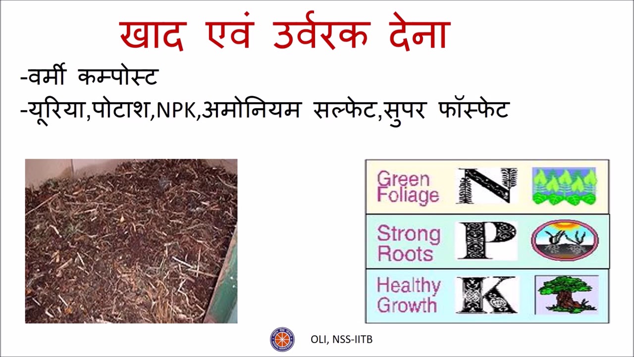 फसल उत्पादन एवं प्रबंध Crop Production and Management कक्षा 8 विज्ञान