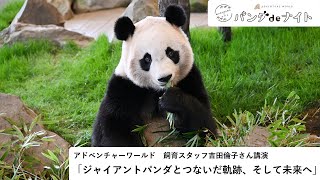 ジャイアントパンダとつないだ軌跡、そして未来へ - YouTube