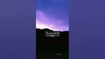 ربكم أعلم بما في نفوسكم ... سورة الإسراء القارئ فارس عباد #quran #قران_كريم #حالات_واتس #ستوريات