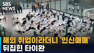 구직 청년들 모아 인신매매에 장기적출까지…타이완 발칵 / SBS