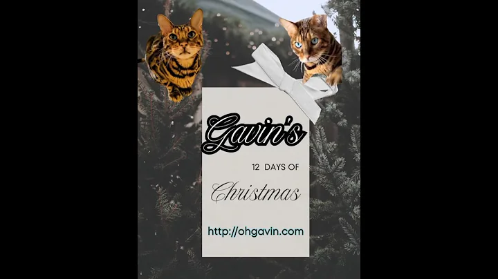 Grab Your Gavin Goodies Before They’re Gone! 🎄 Store Closing After Christmas http://ohgavin.com