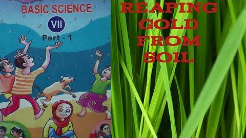 Standard 7 Basic science## Reaping Gold from soil##Part 1##New Turn 4U