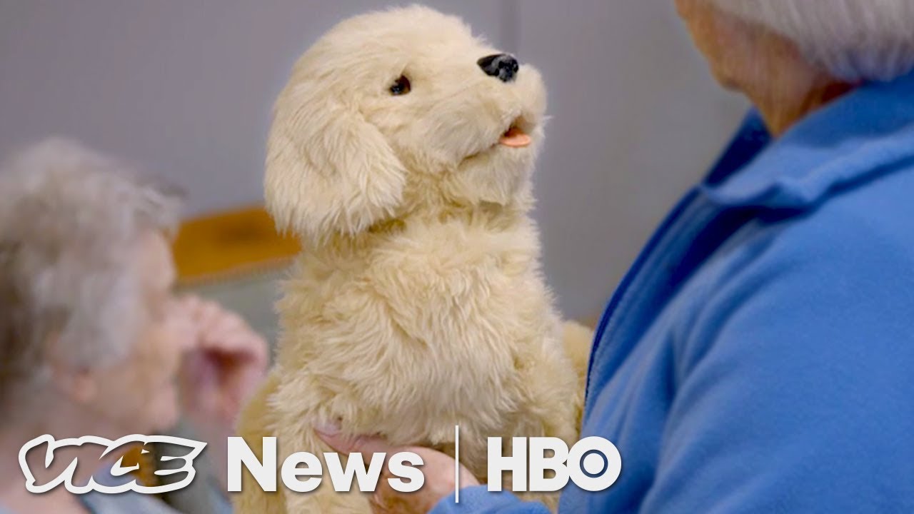 Robotic Pets Are Helping Dementia Patients (Hbo)